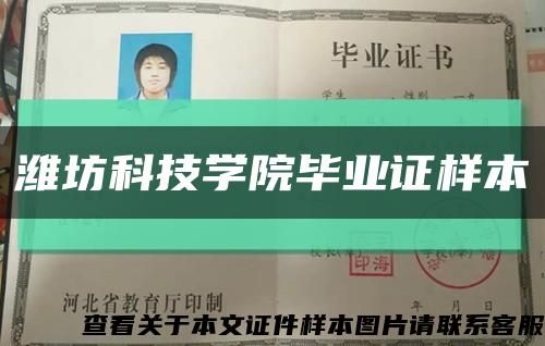 潍坊科技学院毕业证样本缩略图