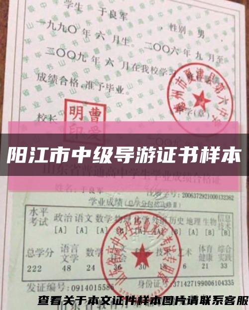 阳江市中级导游证书样本缩略图