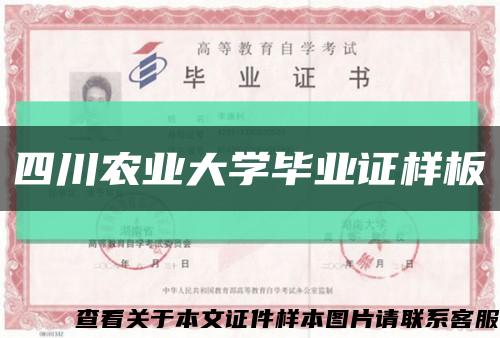 四川农业大学毕业证样板{模板}缩略图