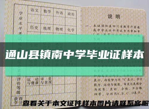 通山县镇南中学毕业证样本缩略图