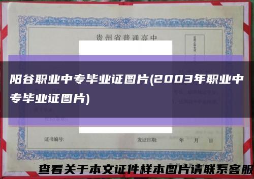 阳谷职业中专毕业证图片(2003年职业中专毕业证图片)缩略图