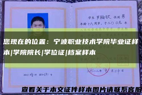 您现在的位置：宁波职业技术学院毕业证样本|学院院长|学位证|档案样本缩略图