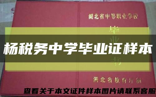 杨税务中学毕业证样本缩略图