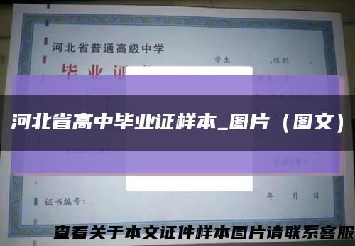 河北省高中毕业证样本_图片（图文）缩略图