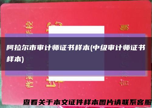 阿拉尔市审计师证书样本(中级审计师证书样本)缩略图