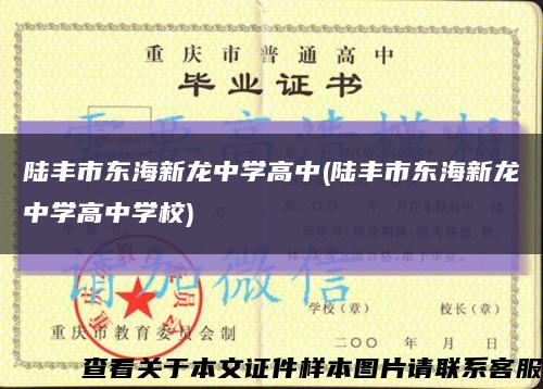 陆丰市东海新龙中学高中(陆丰市东海新龙中学高中学校)缩略图