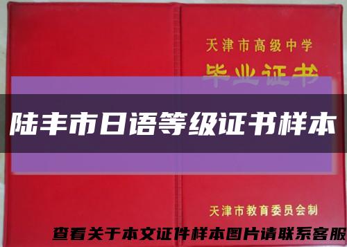 陆丰市日语等级证书样本缩略图