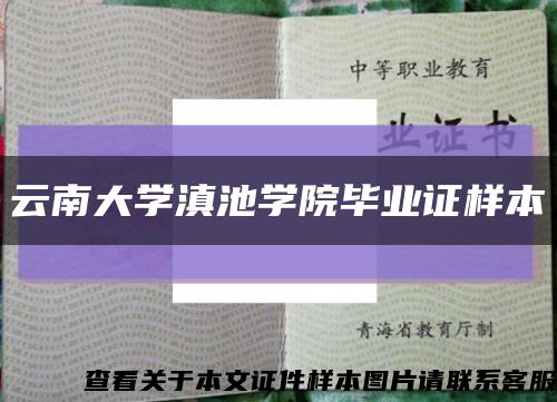 云南大学滇池学院毕业证样本缩略图