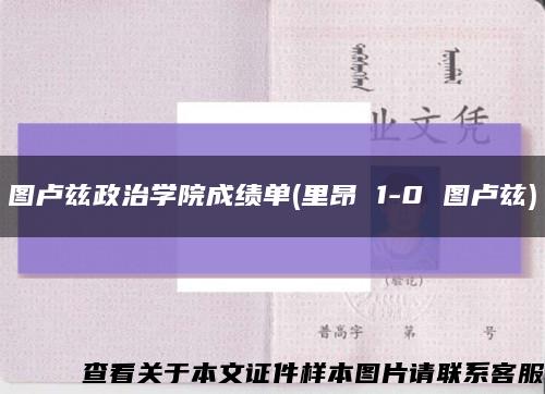 图卢兹政治学院成绩单(里昂 1-0 图卢兹)缩略图