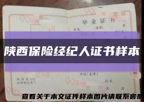 陕西保险经纪人证书样本缩略图