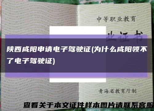 陕西咸阳申请电子驾驶证(为什么咸阳领不了电子驾驶证)缩略图