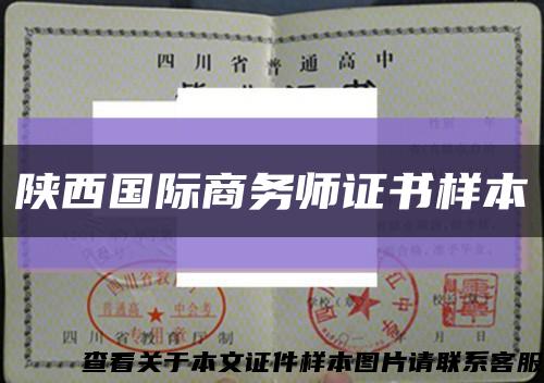 陕西国际商务师证书样本缩略图