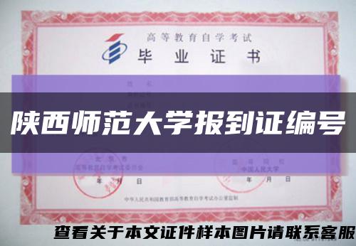 陕西师范大学报到证编号缩略图