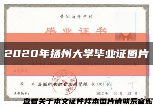 2020年扬州大学毕业证图片缩略图