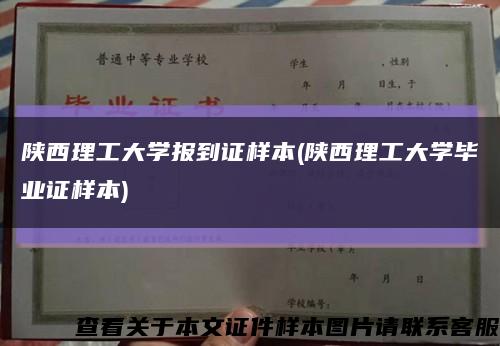 陕西理工大学报到证样本(陕西理工大学毕业证样本)缩略图
