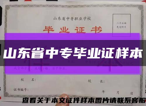 山东省中专毕业证样本缩略图