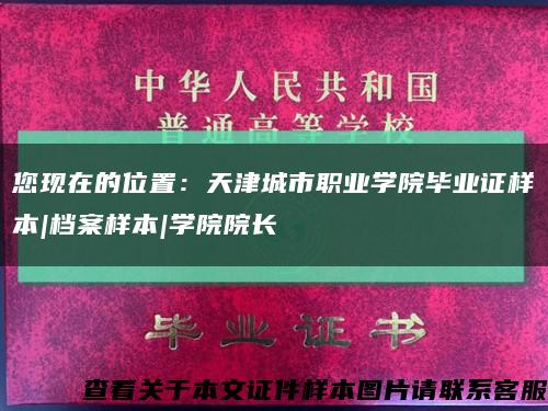 您现在的位置：天津城市职业学院毕业证样本|档案样本|学院院长缩略图