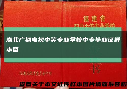 湖北广播电视中等专业学校中专毕业证样本图缩略图