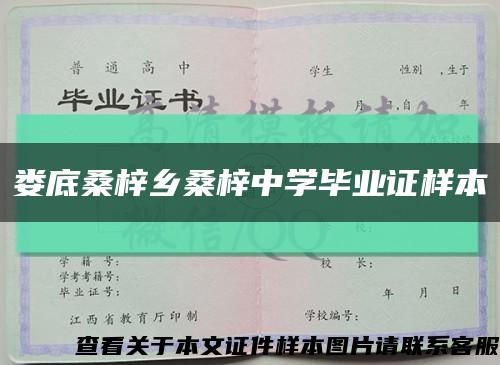娄底桑梓乡桑梓中学毕业证样本缩略图