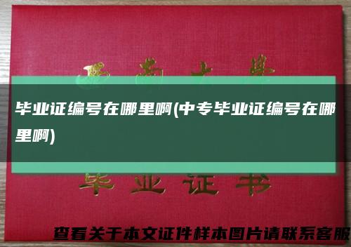 毕业证编号在哪里啊(中专毕业证编号在哪里啊)缩略图