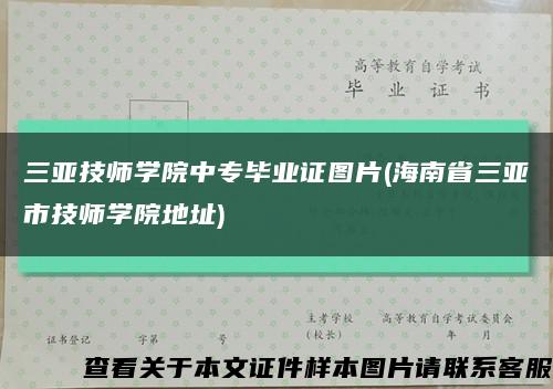 三亚技师学院中专毕业证图片(海南省三亚市技师学院地址)缩略图