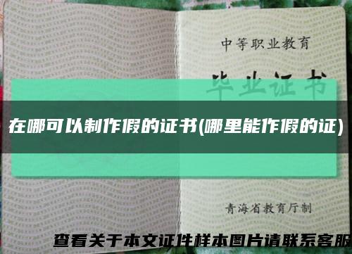 在哪可以制作假的证书(哪里能作假的证)缩略图