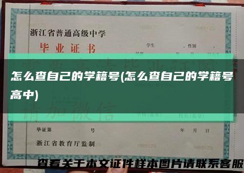 怎么查自己的学籍号(怎么查自己的学籍号高中)缩略图