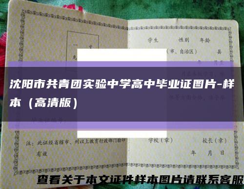 沈阳市共青团实验中学高中毕业证图片-样本（高清版）缩略图