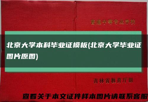 北京大学本科毕业证模板(北京大学毕业证图片原图)缩略图