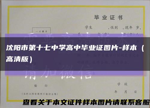 沈阳市第十七中学高中毕业证图片-样本（高清版）缩略图