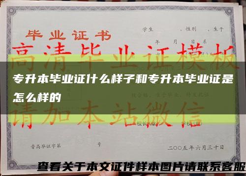 专升本毕业证什么样子和专升本毕业证是怎么样的缩略图