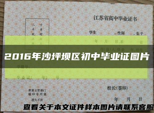 2016年沙坪坝区初中毕业证图片缩略图