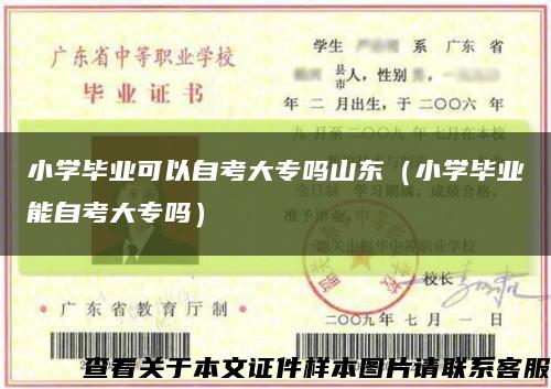 小学毕业可以自考大专吗山东（小学毕业能自考大专吗）缩略图