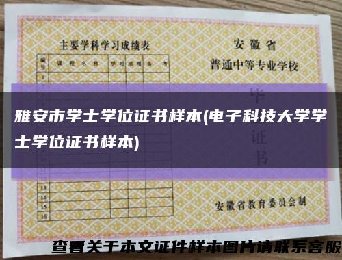 雅安市学士学位证书样本(电子科技大学学士学位证书样本)缩略图