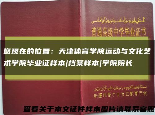 您现在的位置：天津体育学院运动与文化艺术学院毕业证样本|档案样本|学院院长缩略图