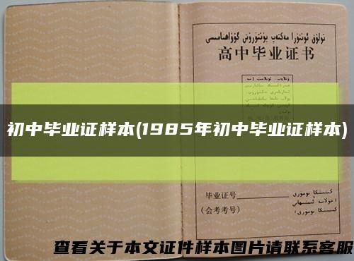 初中毕业证样本(1985年初中毕业证样本)缩略图