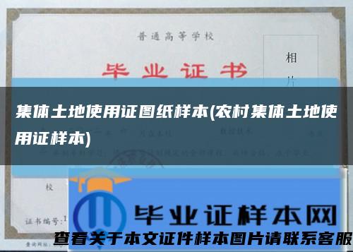 集体土地使用证图纸样本(农村集体土地使用证样本)缩略图