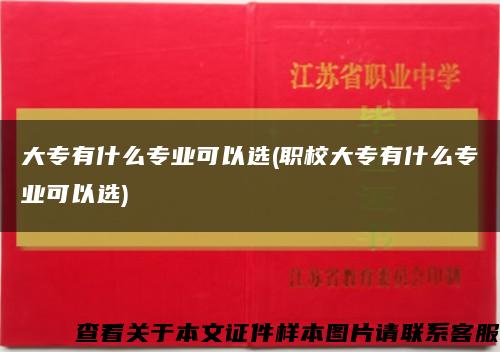 大专有什么专业可以选(职校大专有什么专业可以选)缩略图