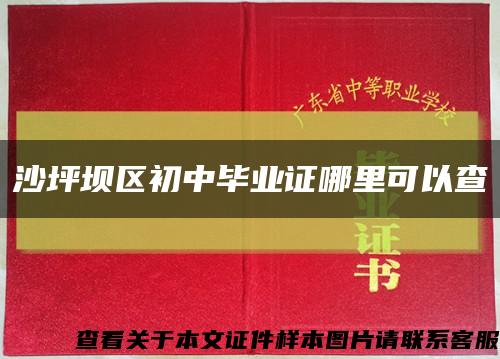沙坪坝区初中毕业证哪里可以查缩略图