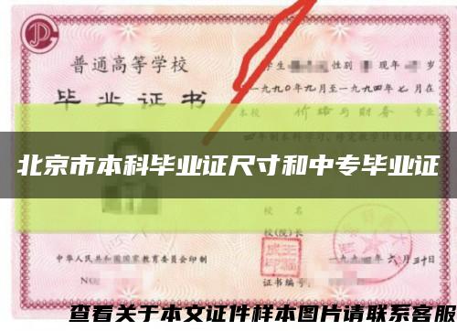 北京市本科毕业证尺寸和中专毕业证缩略图