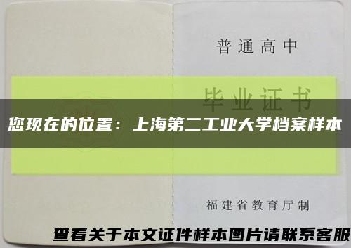您现在的位置：上海第二工业大学档案样本缩略图