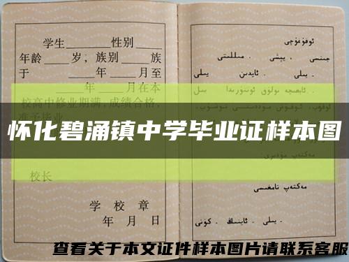 怀化碧涌镇中学毕业证样本图缩略图