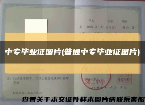 中专毕业证图片(普通中专毕业证图片)缩略图