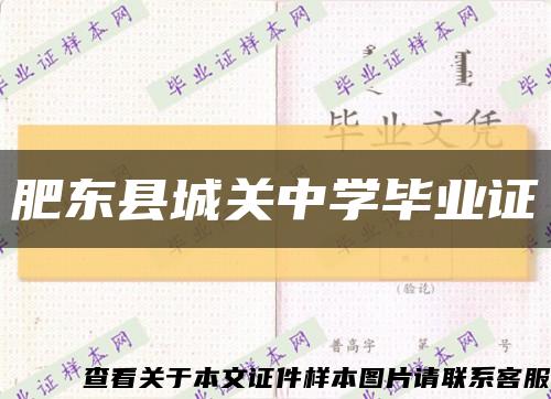 肥东县城关中学毕业证缩略图