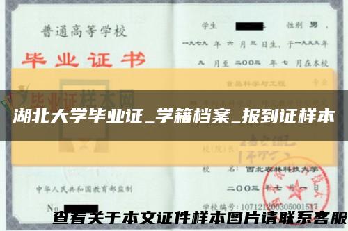 湖北大学毕业证_学籍档案_报到证样本缩略图