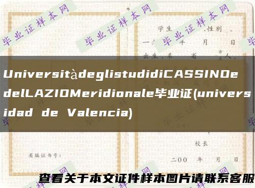 UniversitàdeglistudidiCASSINOedelLAZIOMeridionale毕业证(universidad de Valencia)缩略图