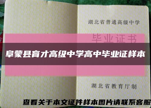 阜蒙县育才高级中学高中毕业证样本缩略图