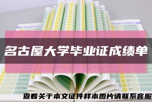 名古屋大学毕业证成绩单缩略图