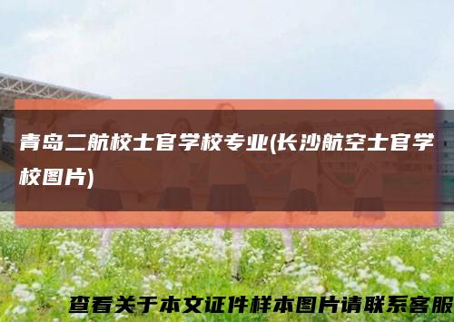 青岛二航校士官学校专业(长沙航空士官学校图片)缩略图