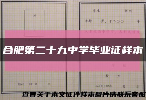 合肥第二十九中学毕业证样本缩略图
